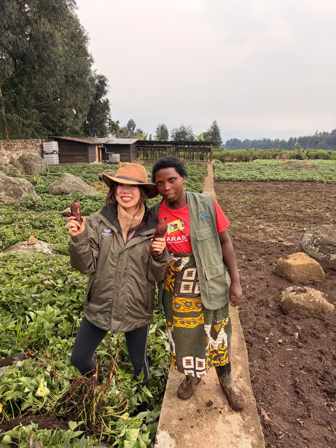 Annie Brent holding freshly harvested sweet potatoes in a Rwandan field
