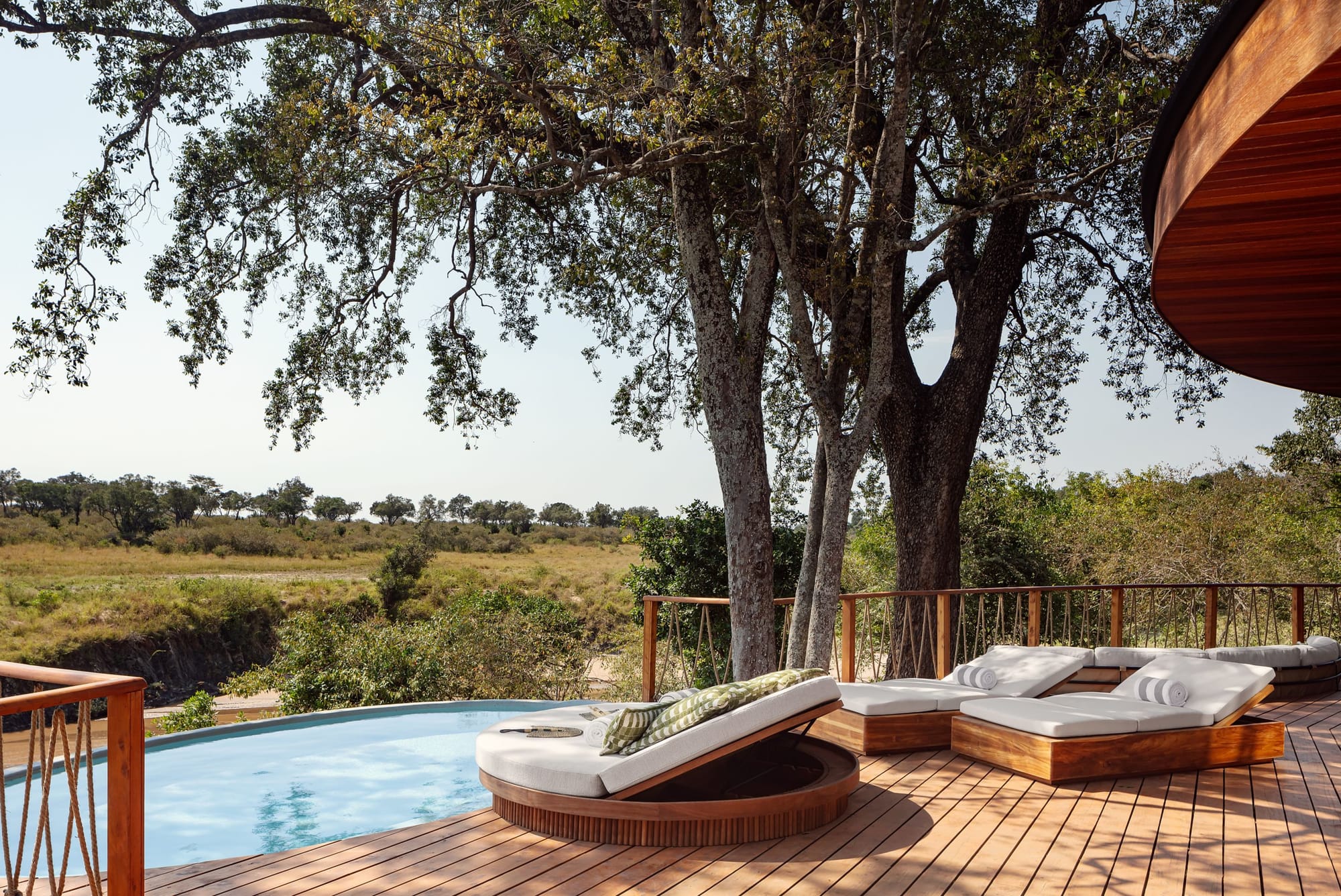 Suite deck and pool under the trees
